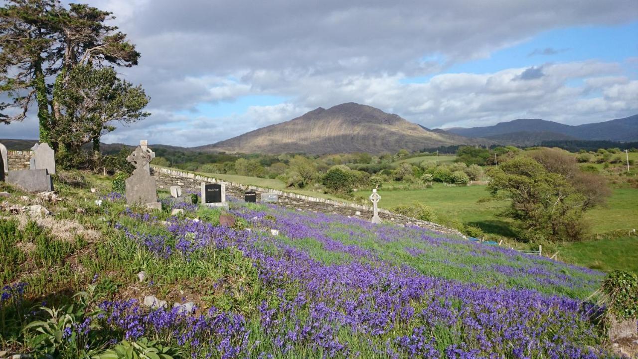 Kenmare Eco Lodge エクステリア 写真