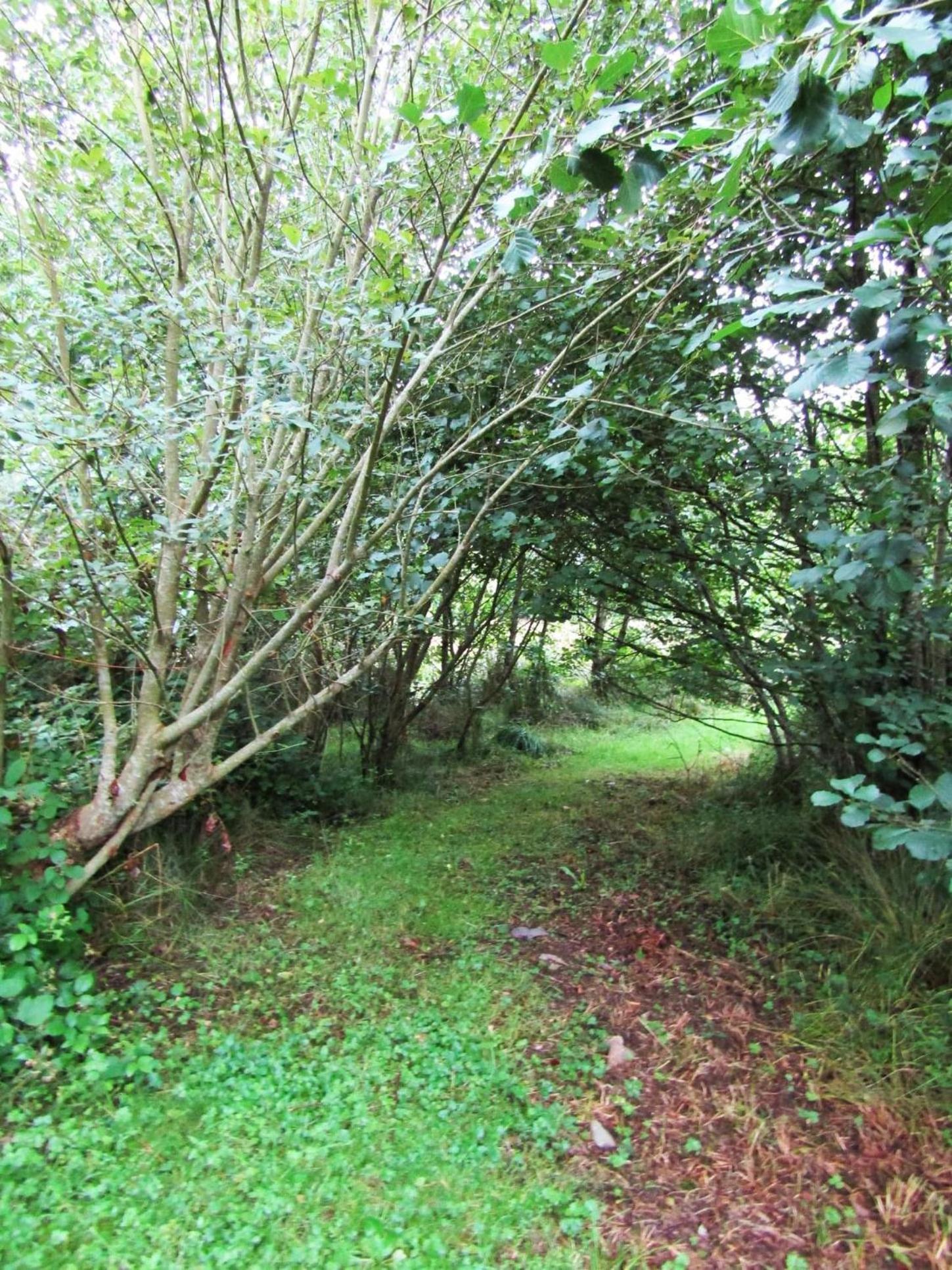 Kenmare Eco Lodge エクステリア 写真