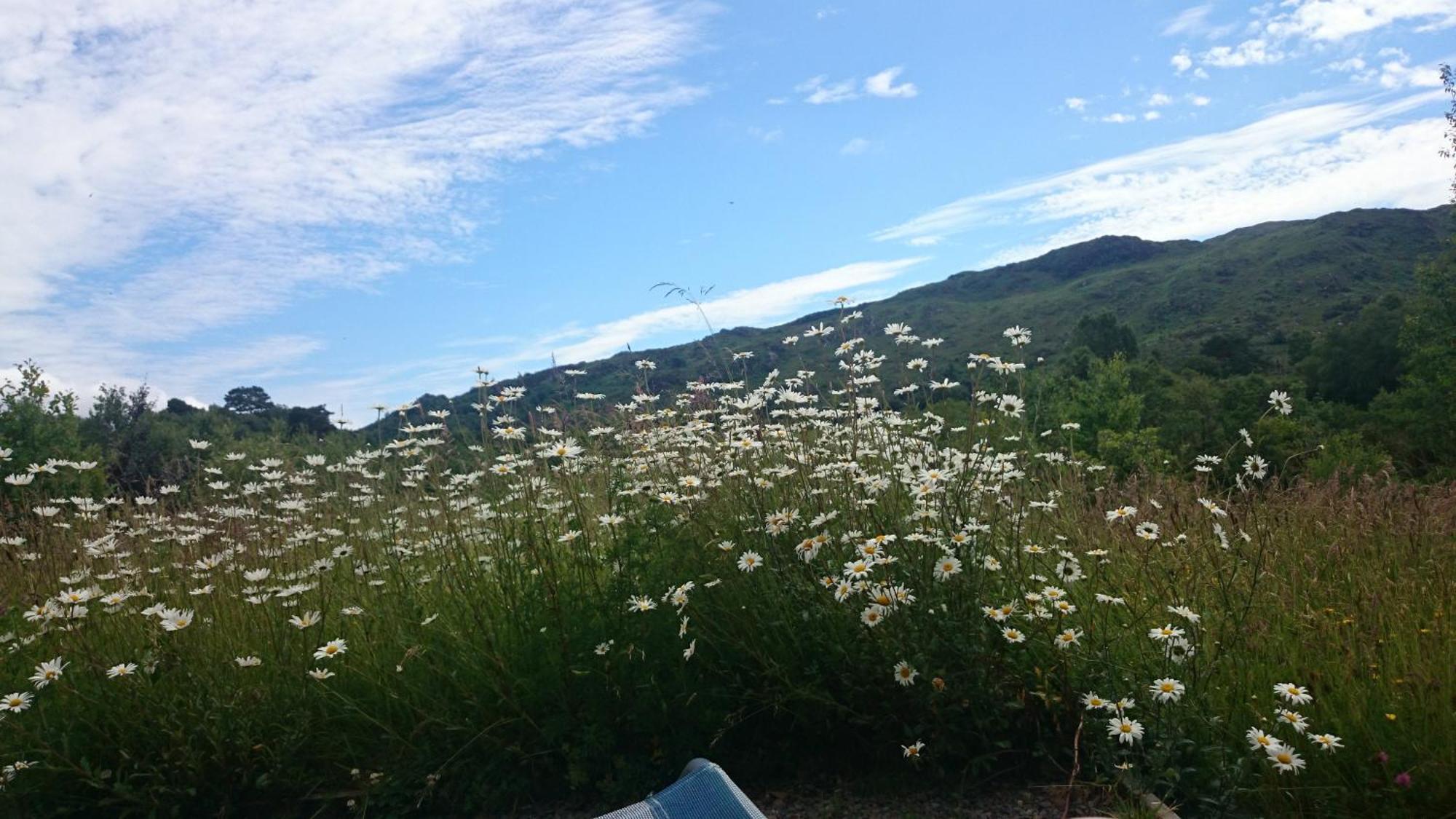 Kenmare Eco Lodge エクステリア 写真